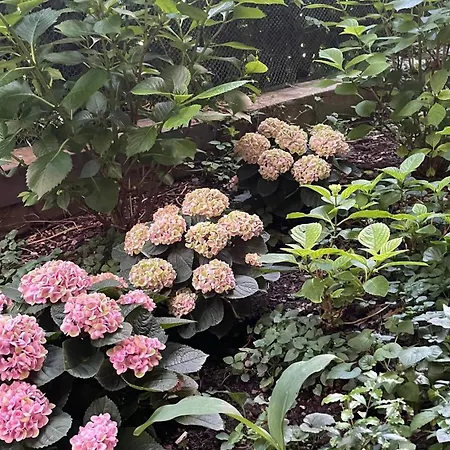 Colombia Szálloda Milánó