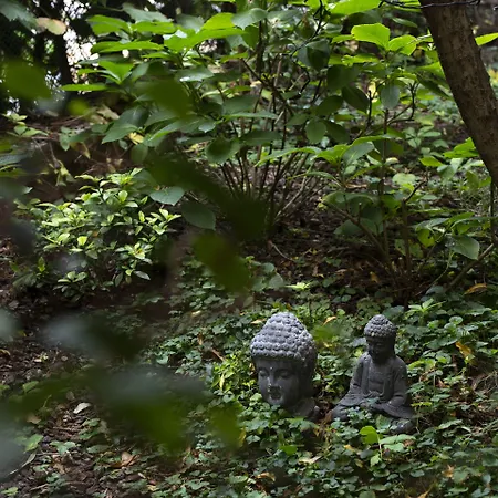 Colombia فندق 4*