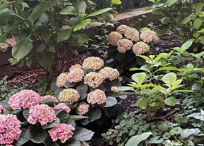 Colombia Hotel Milão